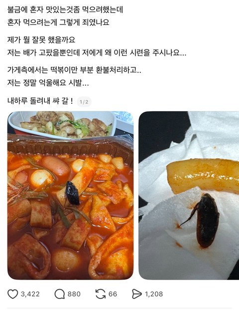 이건 짤부터 보고 말해야 됨