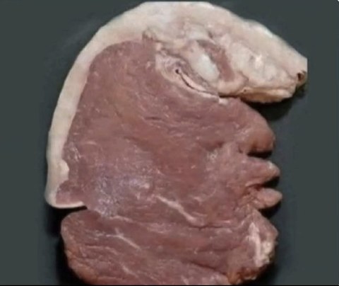 이건 짤부터 보고 말해야 됨