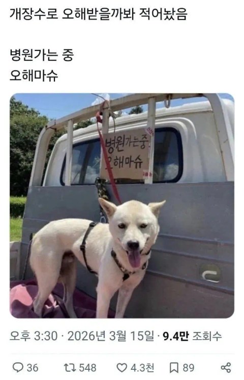 이거 보고 오해할까 봐 미리 적어둠