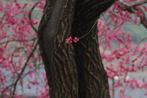 이건 짤부터 보고 말해야 됨