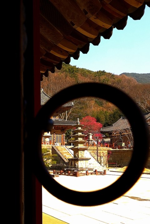 이건 짤부터 보고 말해야 됨