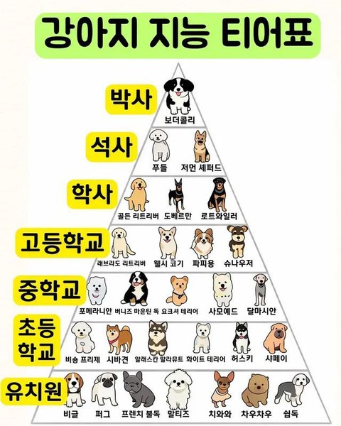 이건 짤부터 보고 말해야 됨