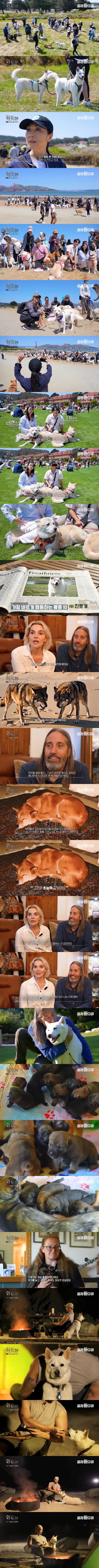 이건 짤부터 보고 말해야 됨