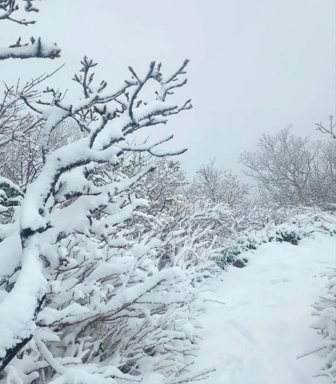 이건 짤부터 보고 말해야 됨
