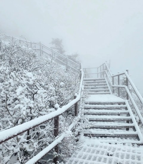 이건 짤부터 보고 말해야 됨
