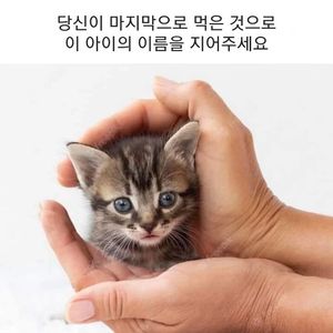 하필 마지막에 이걸 먹어버렸네