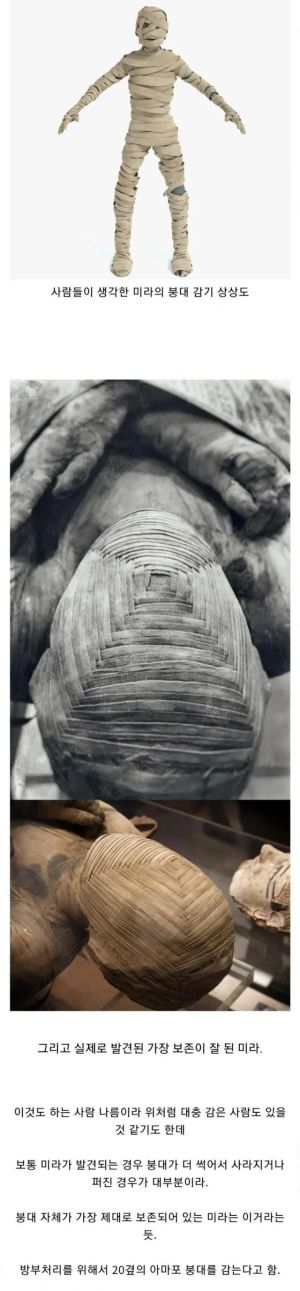 이건 짤부터 보고 말해야 됨