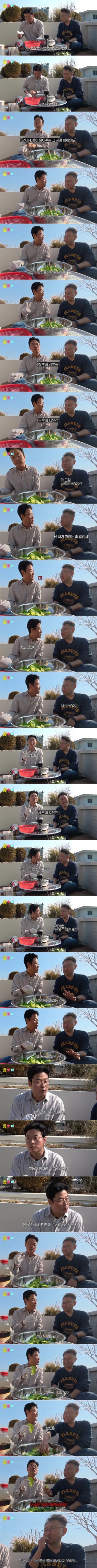 강호동 봄동 비빔밥의 충격적인 정체