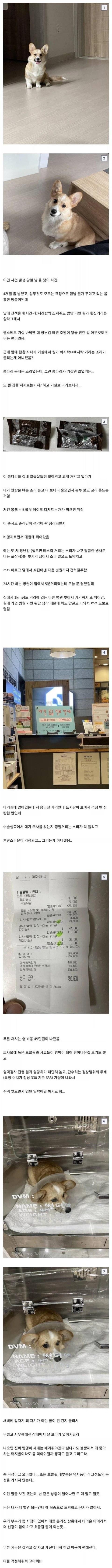 몽쉘 하나에 49만원이면 믿으시겠습니까