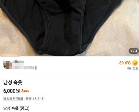당근마켓에 올라온 충격적인 중고 팬티