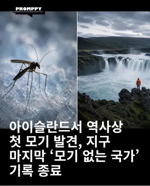 지구상 유일한 모기 청정국이라는데