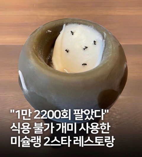 셰프가 직접 찾은 이것 대체 뭐예요?
