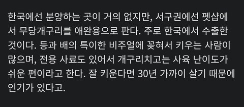 우리 집 개구리 평균 수명은 얼마나 될까?