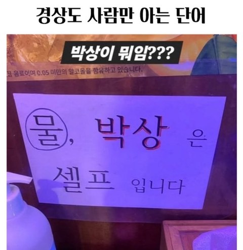 경상도 사람들만 통하는 그 단어 뭔지 알지?