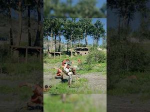 유튜브로 보면 진짜 역대급이라는 붉은사막 근황