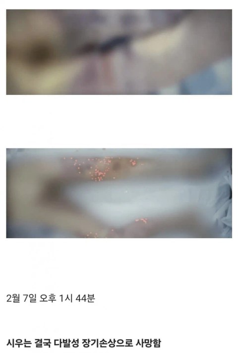 죽을 때까지 성경만 읽어야 했던 초등학생의 비극