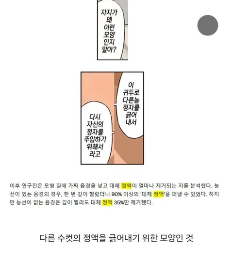 버섯 모양을 닮았다는 그 부위의 비밀