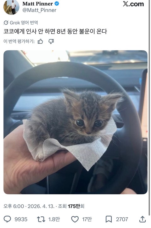 이거 보고 코코한테 인사하러 갑니다