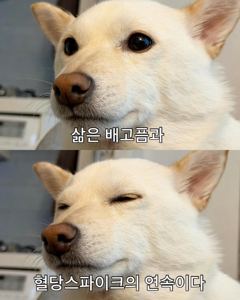 한 시간 전부터 아파트 단지 난리 난 이유