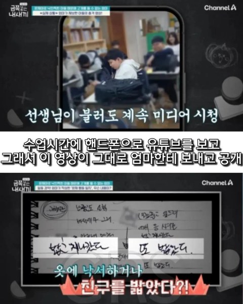 학폭 논란 있었던 금쪽이 근황 떴네