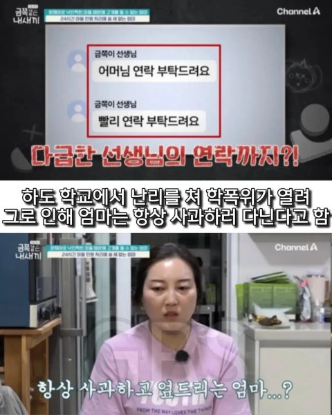 학폭 논란 있었던 금쪽이 근황 떴네