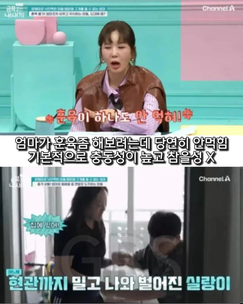 학폭 논란 있었던 금쪽이 근황 떴네