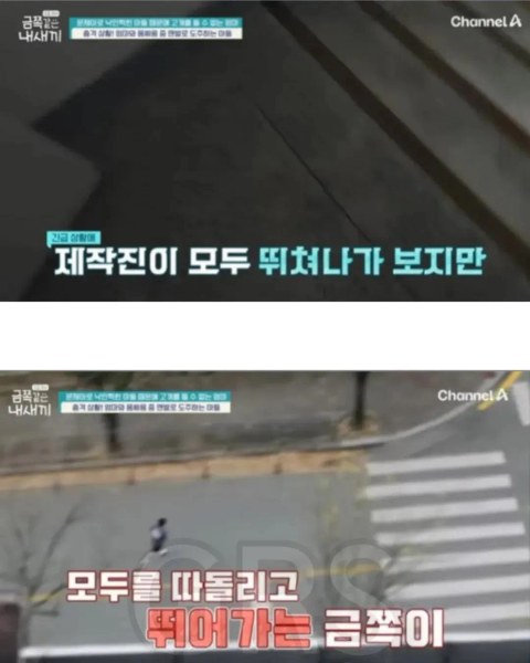 학폭 논란 있었던 금쪽이 근황 떴네