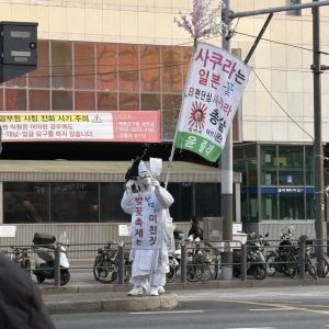 요즘 벚꽃축제 가면 마주치는 풍경